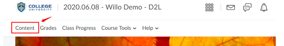 brightspaceInstructions1.png